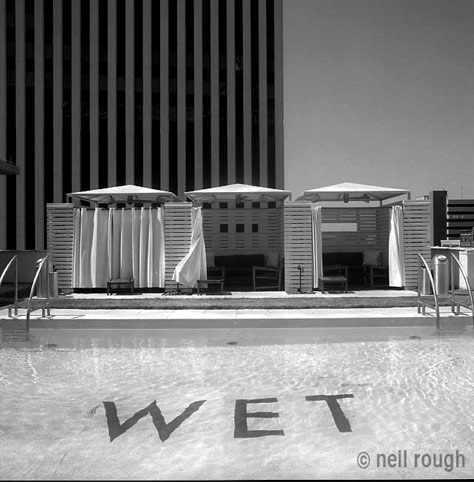 Neil Rough