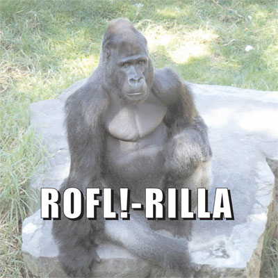 rofl.jpg