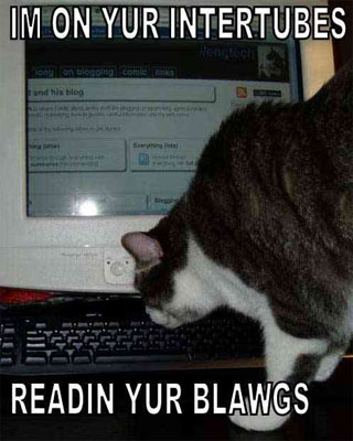 lolcat.jpg