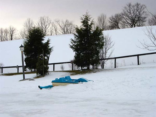 Rebecca Loyche, Cold March