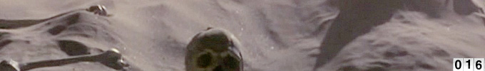 artfagcity_header12.jpg