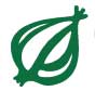 The Onion Logo, Art Fag City