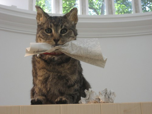 Karen Archey, Taxidermy, Best Link Ever, Art Fag City, Liam Gillick, Venice Biennale