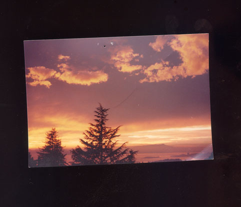 Looking west toward Mt. Tamalpais, from Berkeley California. View from the large picture window in my childhood home. Taken by my father Neil Handelman, May 1981. My father took this photograph from a large picture window in my childhood home.
