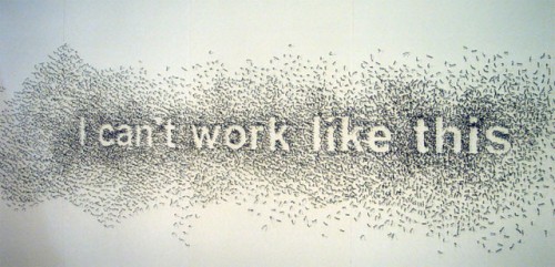 art fag city, hugo boss, natascha sadr haghighian