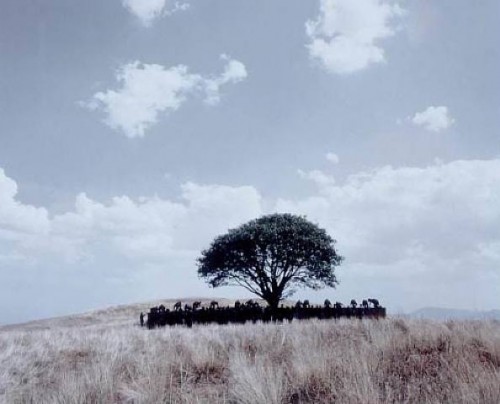 Shirin Neshat, tooba, art fag city