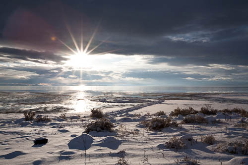 Journey to Spiral Jetty
