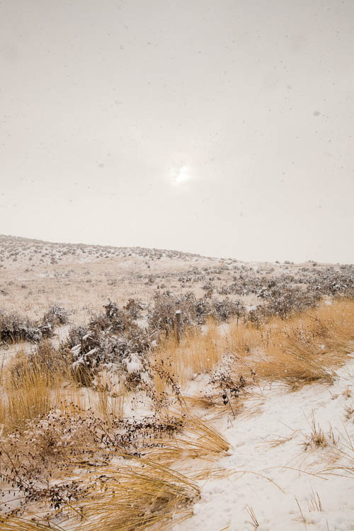 Journey to Spiral Jetty