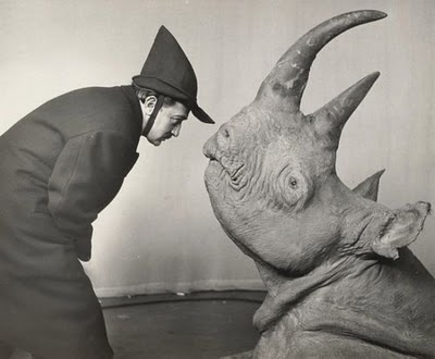 salvidor dali, rhino, art fag city