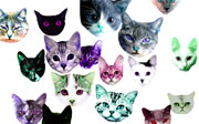 Post image for Best Link Ever! Meowmania!