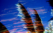 Post image for Four Nights of Premieres at the NY Film Festival from the Frontiers of Innovative Cinema (Sept 30-Oct 3)