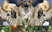 Post image for Help The Sound of Art Fundraiser Reach $5,000 by Monday!