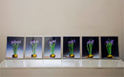 Post image for Internet Panel Discussion Tonight! Immaterial Dispersal at Guild Art Gallery