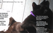 Post image for Survival In New York: An Interview With Triple Candie
