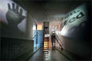 Post image for [Sponsor] Pulitzer Foundation Launches Online Catalogue for Ann Hamilton’s stylus