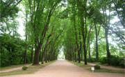 Post image for 40 Hour Non-Stop Party at Serralves This Weekend