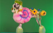 Post image for Best Link Ever! A Poodle Dressed As A Snail