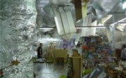 Post image for Should Artists Go To The Venice Biennale?