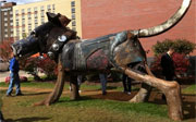Post image for The Official AFC ArtPrize Finalist Rankings and Honorary Awards