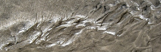 Marsha Owett, Scales, 2011, JPEG (detail)