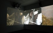 Werner Herzog, "Hearsay of the Soul", 2012, film
