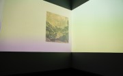 Werner Herzog, "Hearsay of the Soul", 2012, film