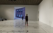 Sarah Michelson's horse head performance, 2012